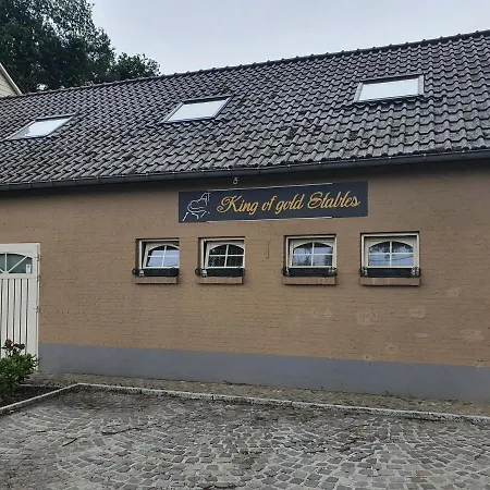 King Of Gold Stables Appartement Met Stalling Voor 5 Paarden Zutendaal Exterior photo