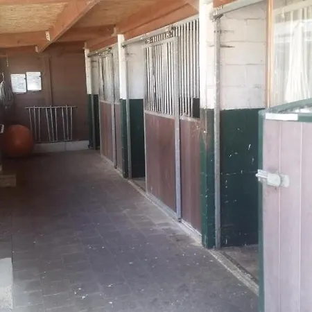 King Of Gold Stables Appartement Met Stalling Voor 5 Paarden Zutendaal Exterior photo