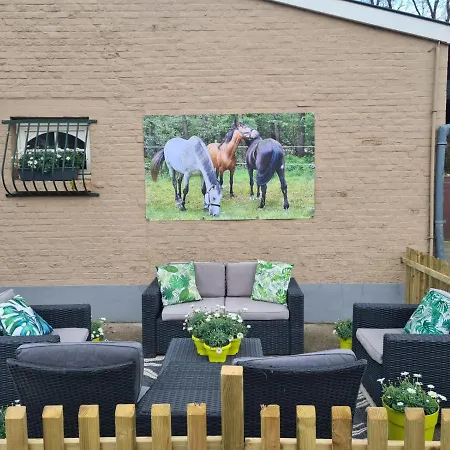 King Of Gold Stables Appartement Met Stalling Voor 5 Paarden Zutendaal Exterior photo