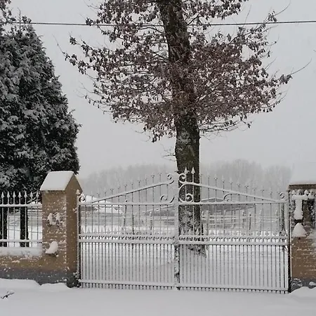 King Of Gold Stables Appartement Met Stalling Voor 5 Paarden Zutendaal Exterior photo