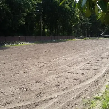 King Of Gold Stables Appartement Met Stalling Voor 5 Paarden Zutendaal Exterior photo
