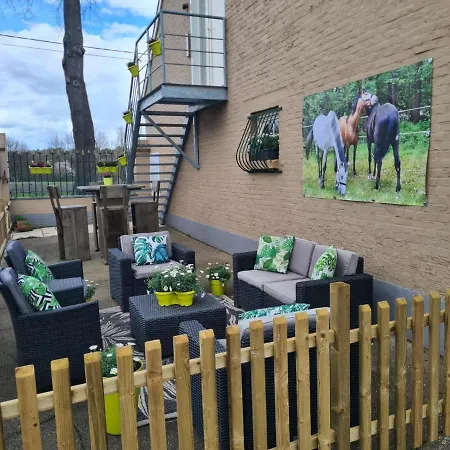 King Of Gold Stables Appartement Met Stalling Voor 5 Paarden Zutendaal Exterior photo