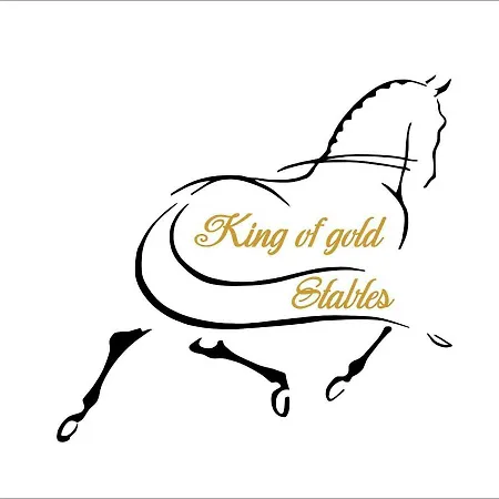 King Of Gold Stables Appartement Met Stalling Voor 5 Paarden Zutendaal Exterior photo