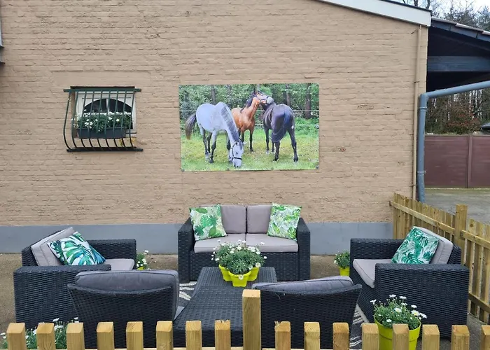 King Of Gold Stables Appartement Met Stalling Voor 5 Paarden
