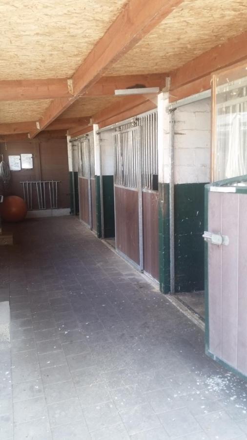 King Of Gold Stables Met Stalling Voor 5 Paarden Apartment *