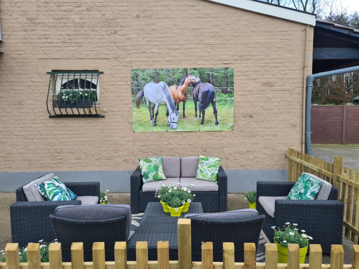 King Of Gold Stables Met Stalling Voor 5 Paarden * Zutendaal