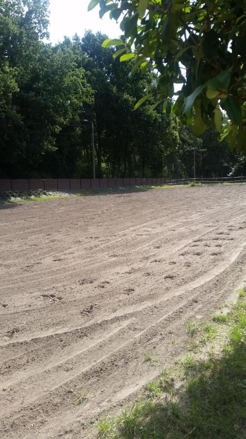 Apartment King Of Gold Stables Met Stalling Voor 5 Paarden Zutendaal