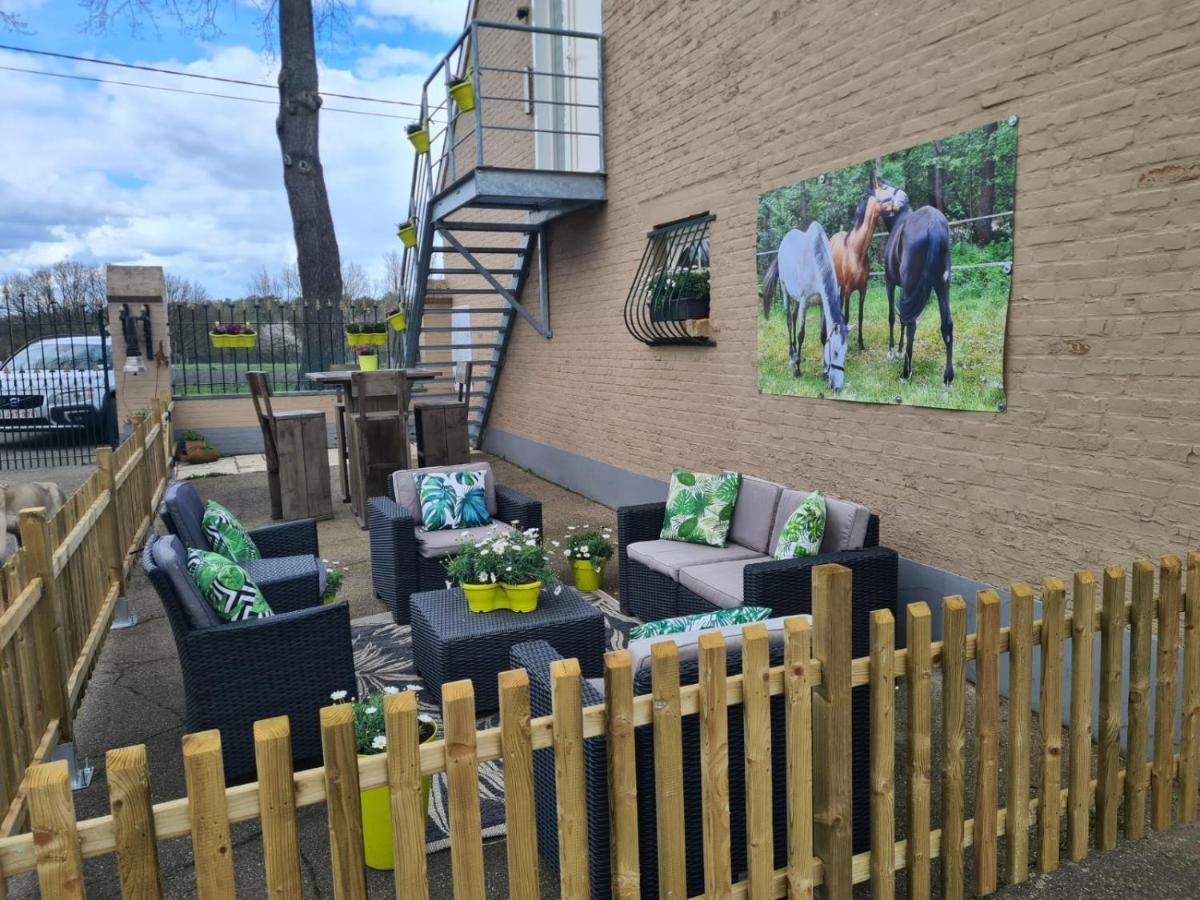 King Of Gold Stables Met Stalling Voor 5 Paarden Apartment