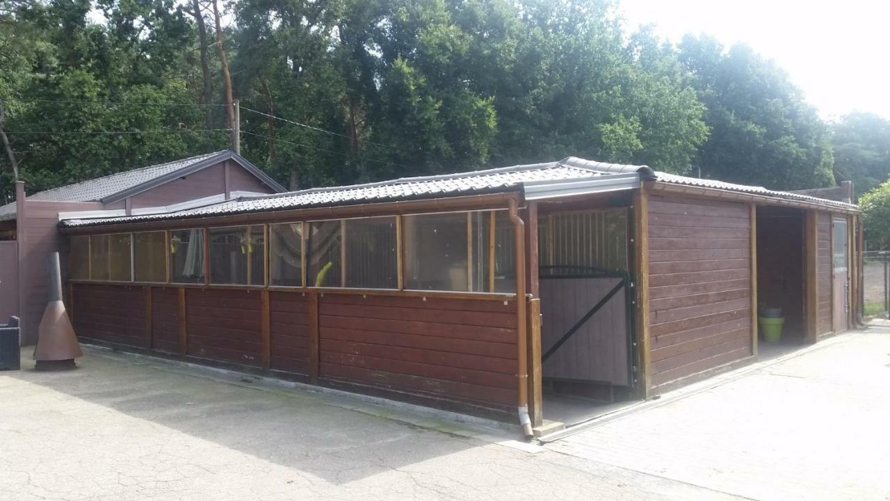 King Of Gold Stables Met Stalling Voor 5 Paarden Apartment Zutendaal