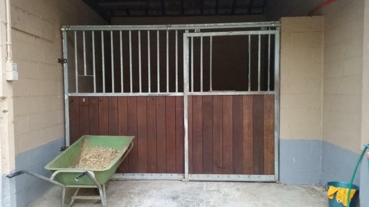 King Of Gold Stables Met Stalling Voor 5 Paarden Apartment *