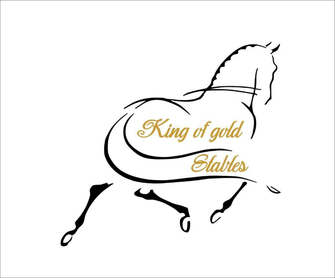 Apartment King Of Gold Stables Met Stalling Voor 5 Paarden *